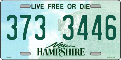 NH license plate 3733446