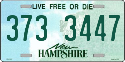 NH license plate 3733447