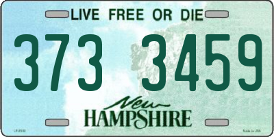 NH license plate 3733459