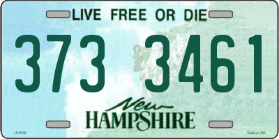 NH license plate 3733461
