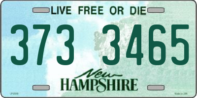 NH license plate 3733465