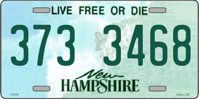 NH license plate 3733468