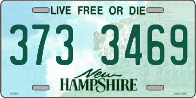 NH license plate 3733469