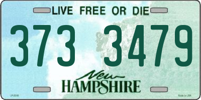 NH license plate 3733479
