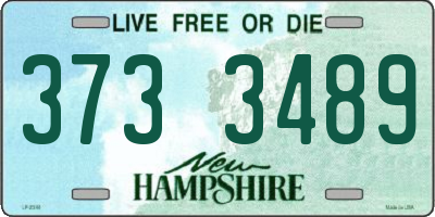 NH license plate 3733489