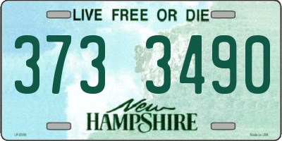 NH license plate 3733490