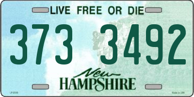 NH license plate 3733492