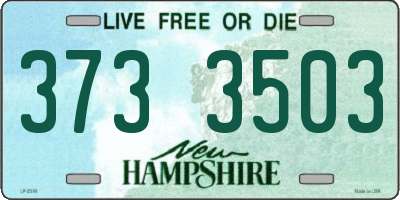 NH license plate 3733503