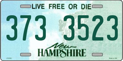 NH license plate 3733523