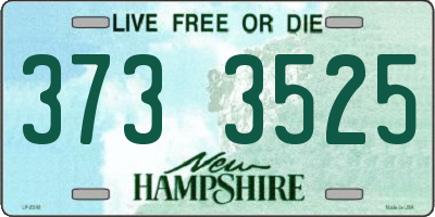NH license plate 3733525