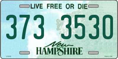 NH license plate 3733530