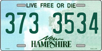 NH license plate 3733534
