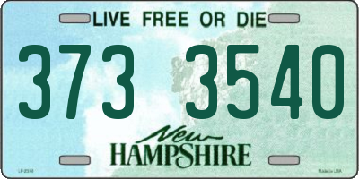 NH license plate 3733540