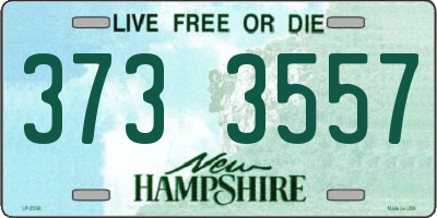 NH license plate 3733557