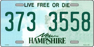 NH license plate 3733558