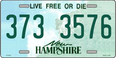 NH license plate 3733576