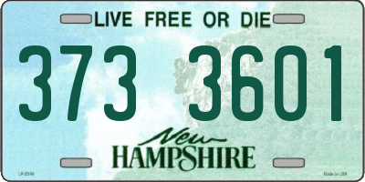 NH license plate 3733601