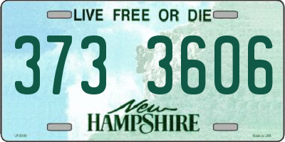 NH license plate 3733606