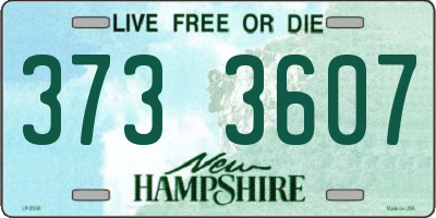 NH license plate 3733607
