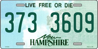 NH license plate 3733609