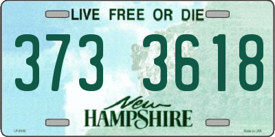 NH license plate 3733618
