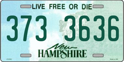 NH license plate 3733636