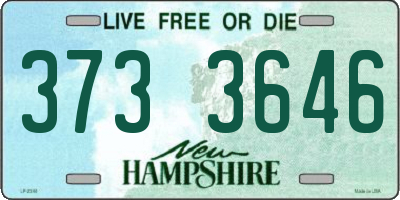 NH license plate 3733646