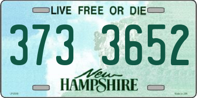 NH license plate 3733652