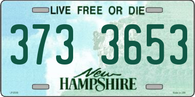 NH license plate 3733653