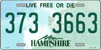 NH license plate 3733663