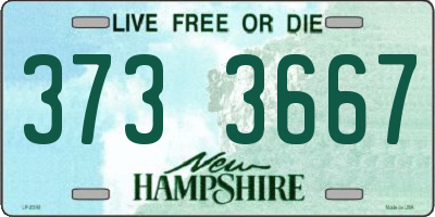NH license plate 3733667