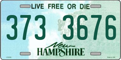 NH license plate 3733676