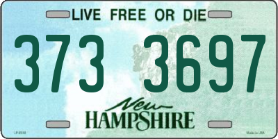 NH license plate 3733697
