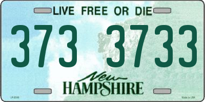NH license plate 3733733