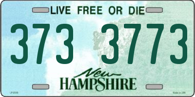 NH license plate 3733773