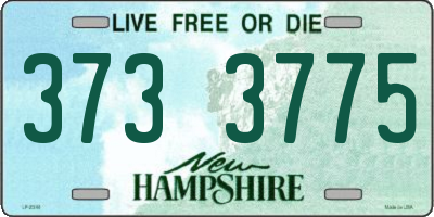 NH license plate 3733775