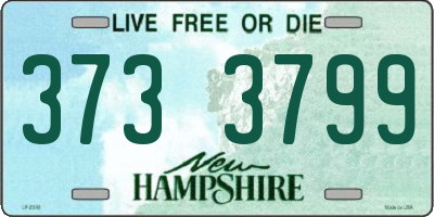 NH license plate 3733799
