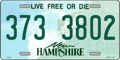 NH license plate 3733802