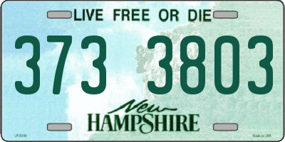 NH license plate 3733803