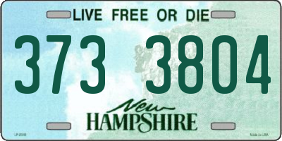 NH license plate 3733804