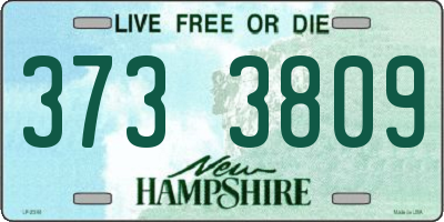 NH license plate 3733809