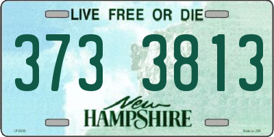 NH license plate 3733813
