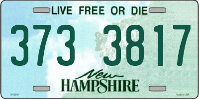 NH license plate 3733817