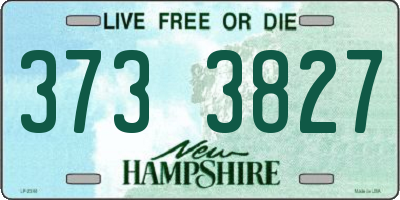 NH license plate 3733827