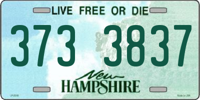 NH license plate 3733837