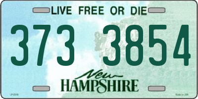 NH license plate 3733854