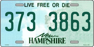 NH license plate 3733863