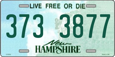 NH license plate 3733877