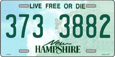 NH license plate 3733882