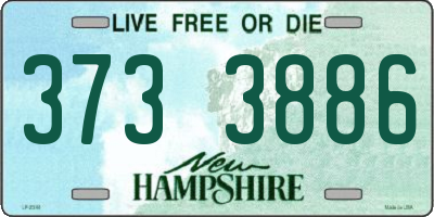 NH license plate 3733886